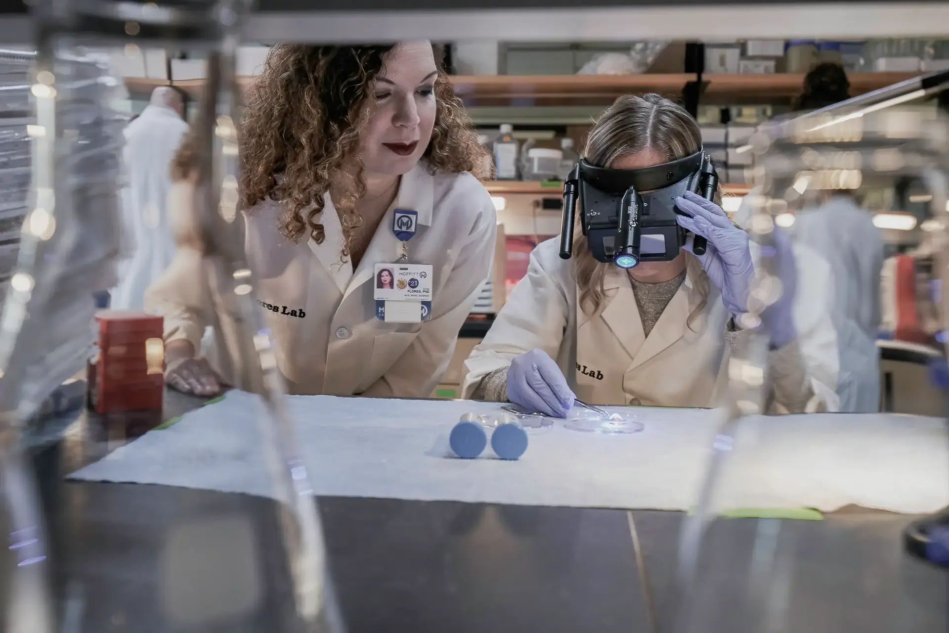 أخصائي أبحاث المختبر الكيميائي